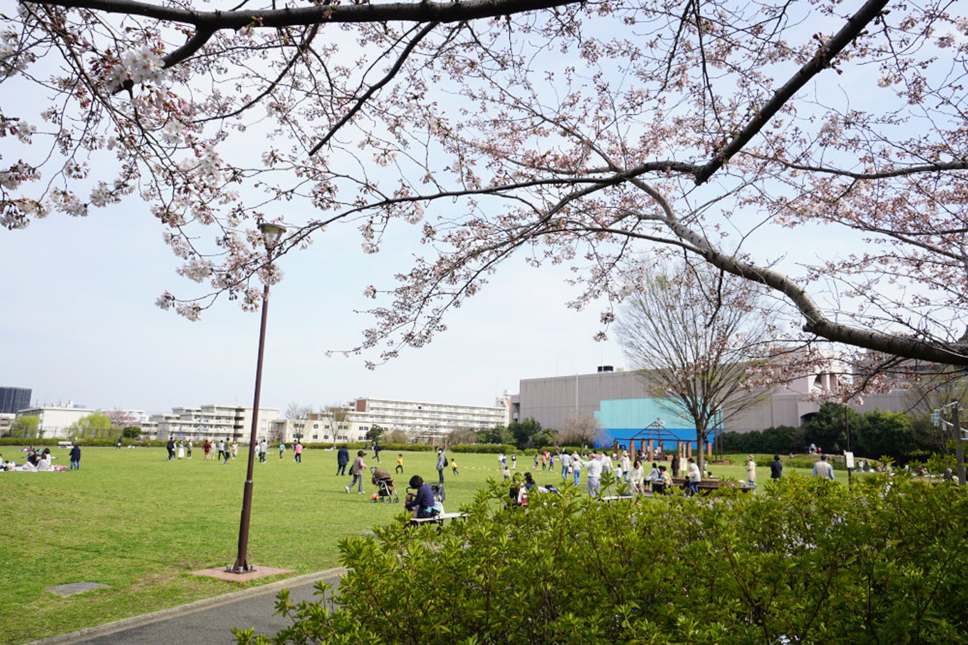平和の森公園