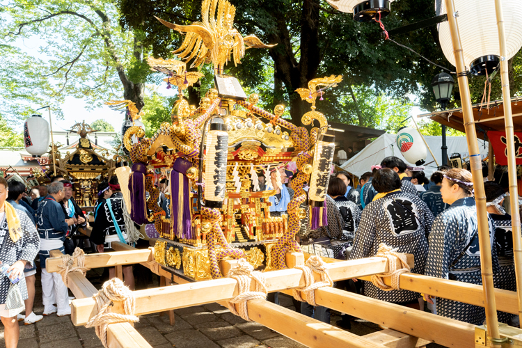 武蔵野八幡宮の例大祭