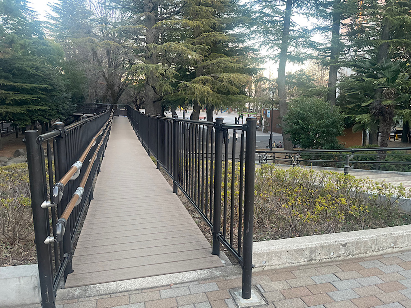 公園の様子