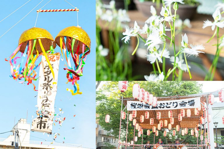 珍しい屋台でワクワク♪2026年7月4 日（土）・5日（日）の「せたがやホタル祭りとサギ草市（さぎそういち）」