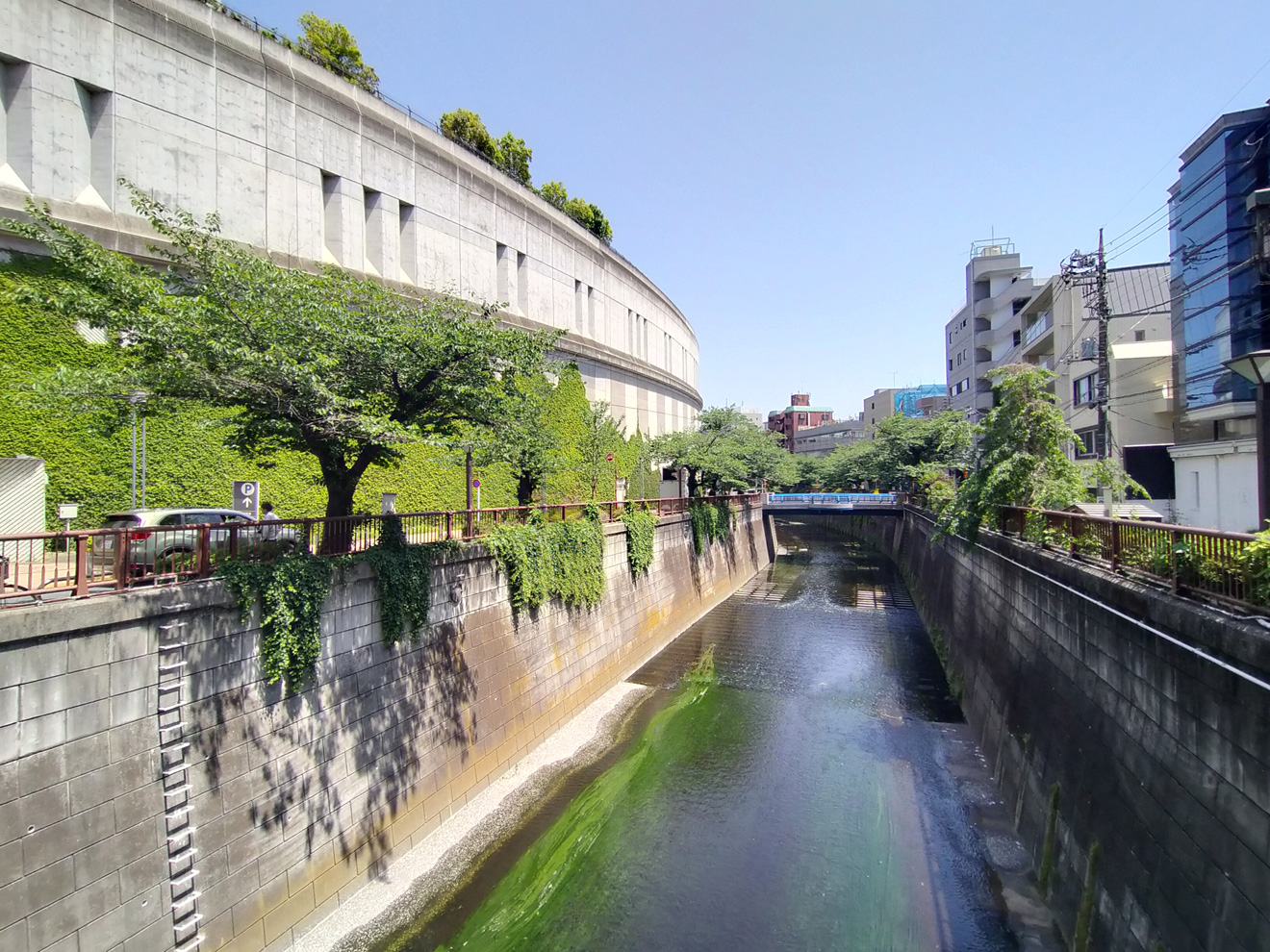 目黒川