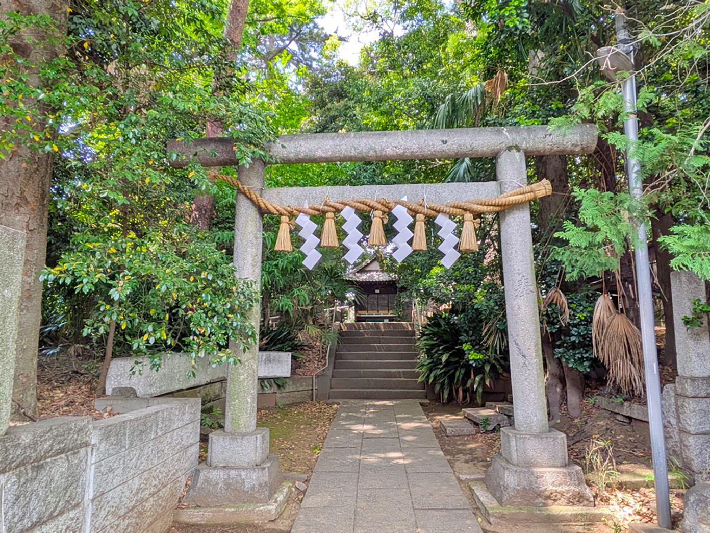 「天祖神社」の鳥居