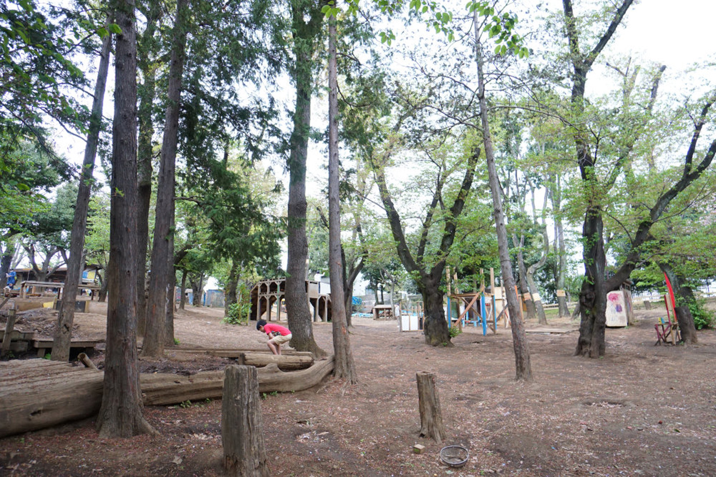 羽根木公園
