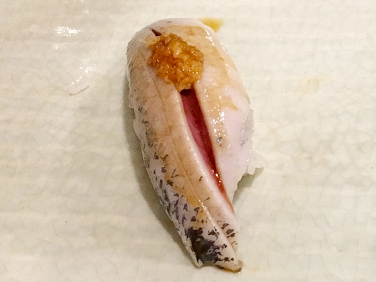和田上のイワシ