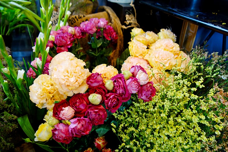 On Flowersのオリーブ（1万円～1万5千円）・スイートバジル（300円）・ローズマリー（1200円）