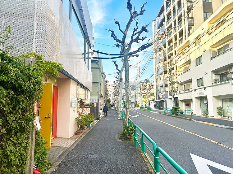 「cotito ハナトオカシト」北銀座通り