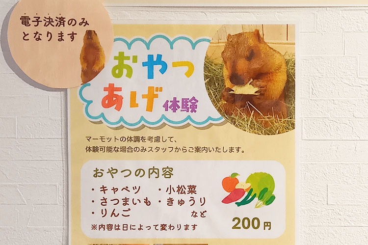 マーモット村のおやつあげ体験
