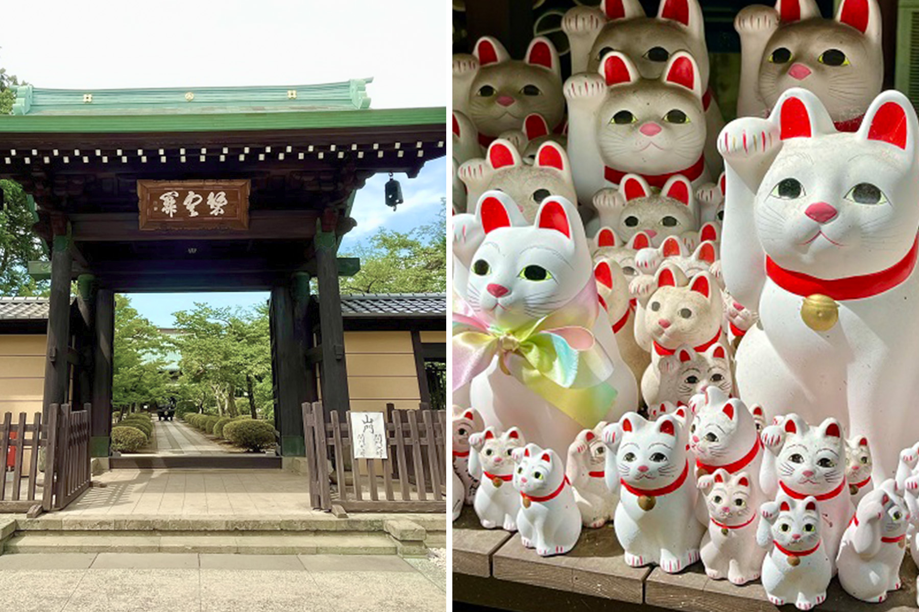 世田谷「豪徳寺」のまねき猫の大群は必見！由緒あるお寺で福を招こう