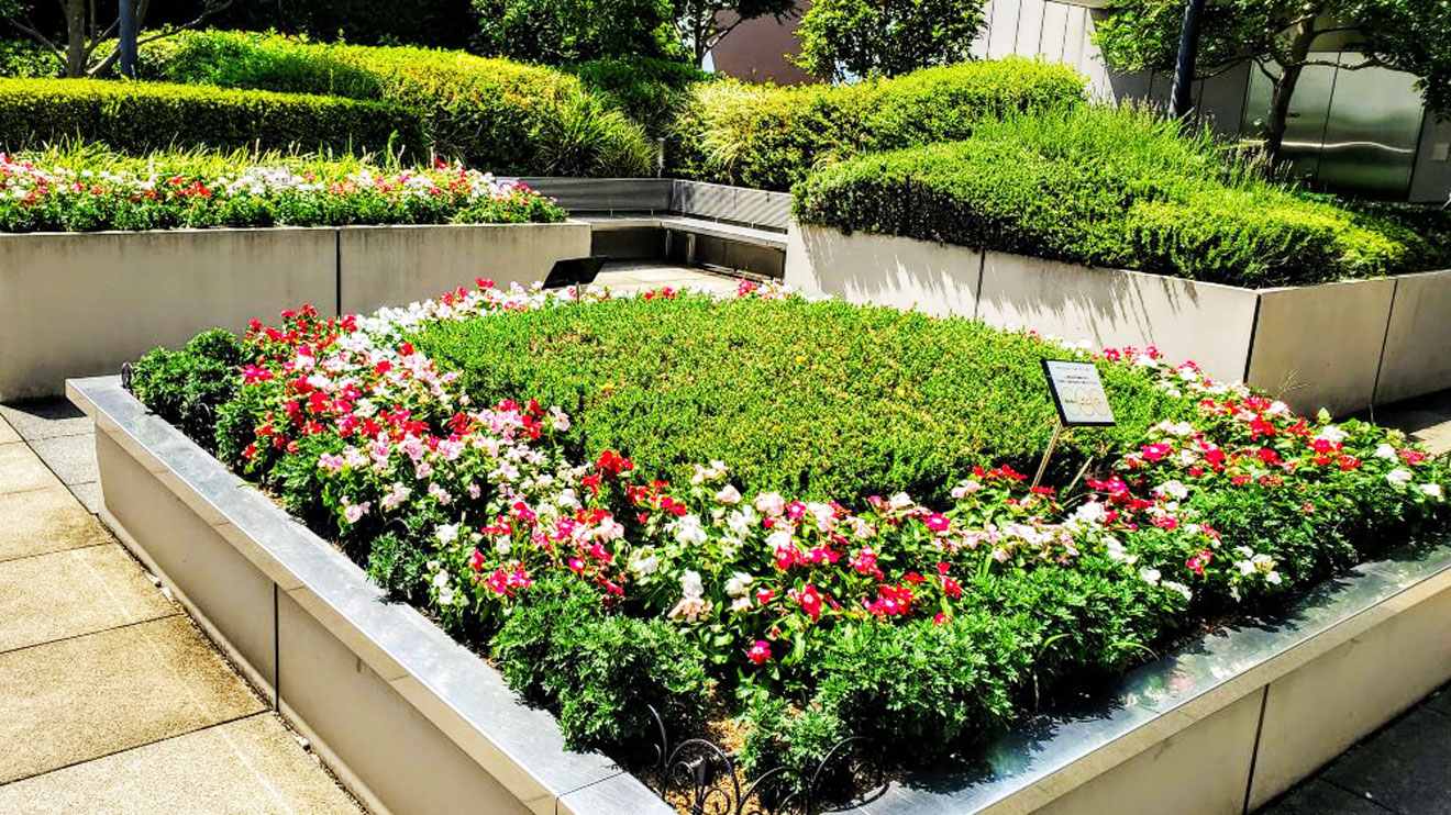 「経堂コルティ屋上庭園」の花壇