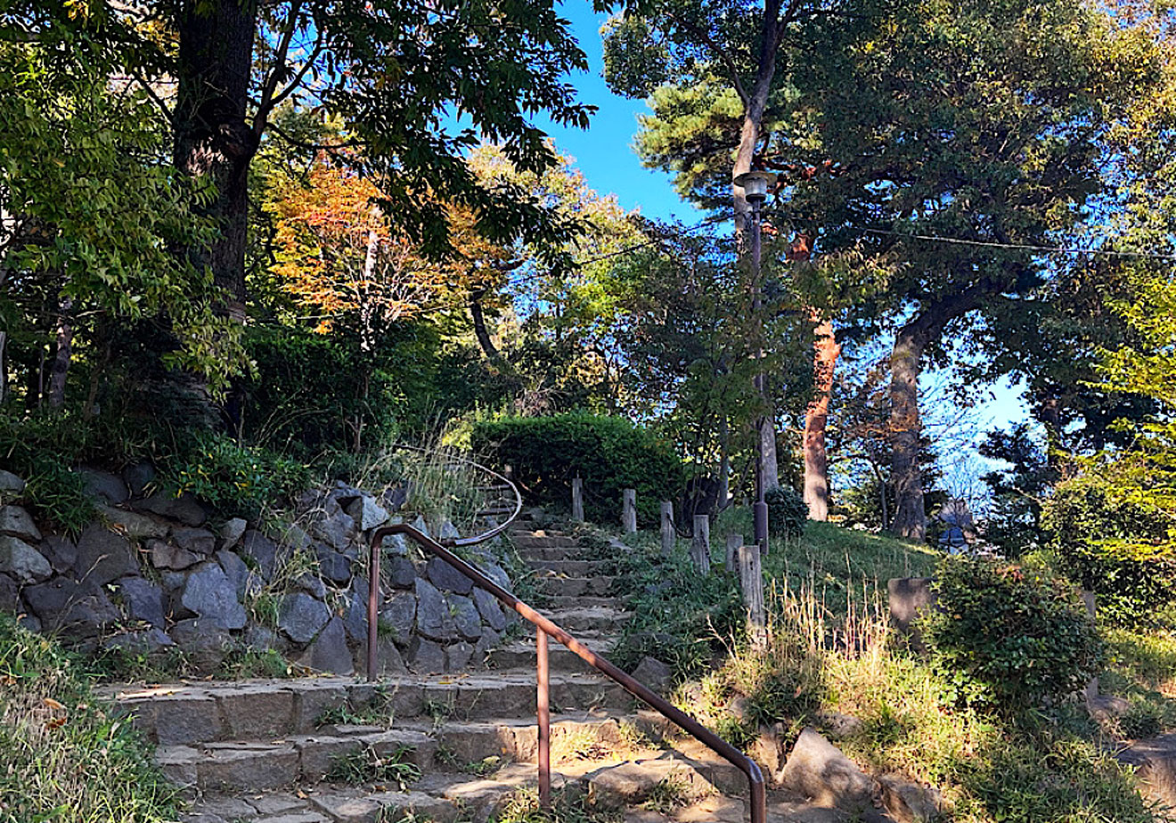 「世田谷城阯公園」の階段