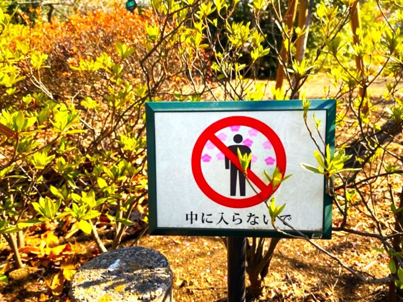 「羽根木公園」の立入禁止看板