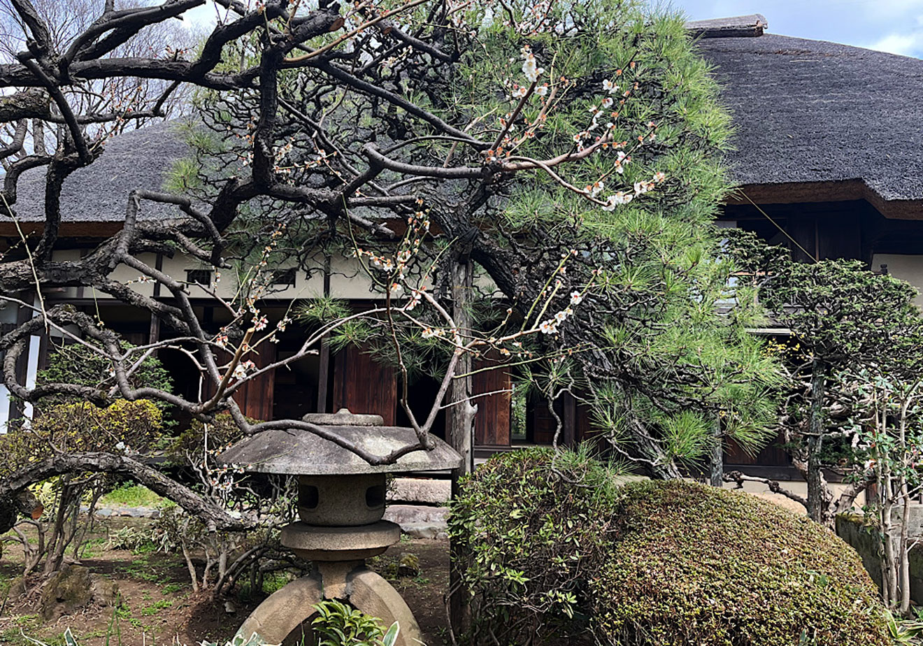 「世田谷代官屋敷」の庭