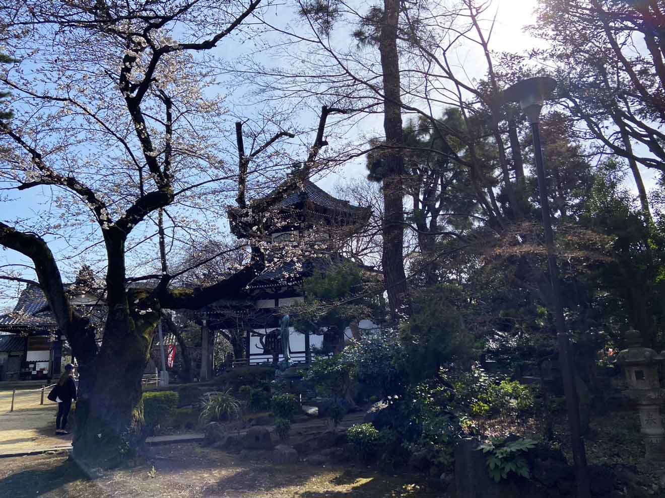 「世田谷山観音寺」の六角堂