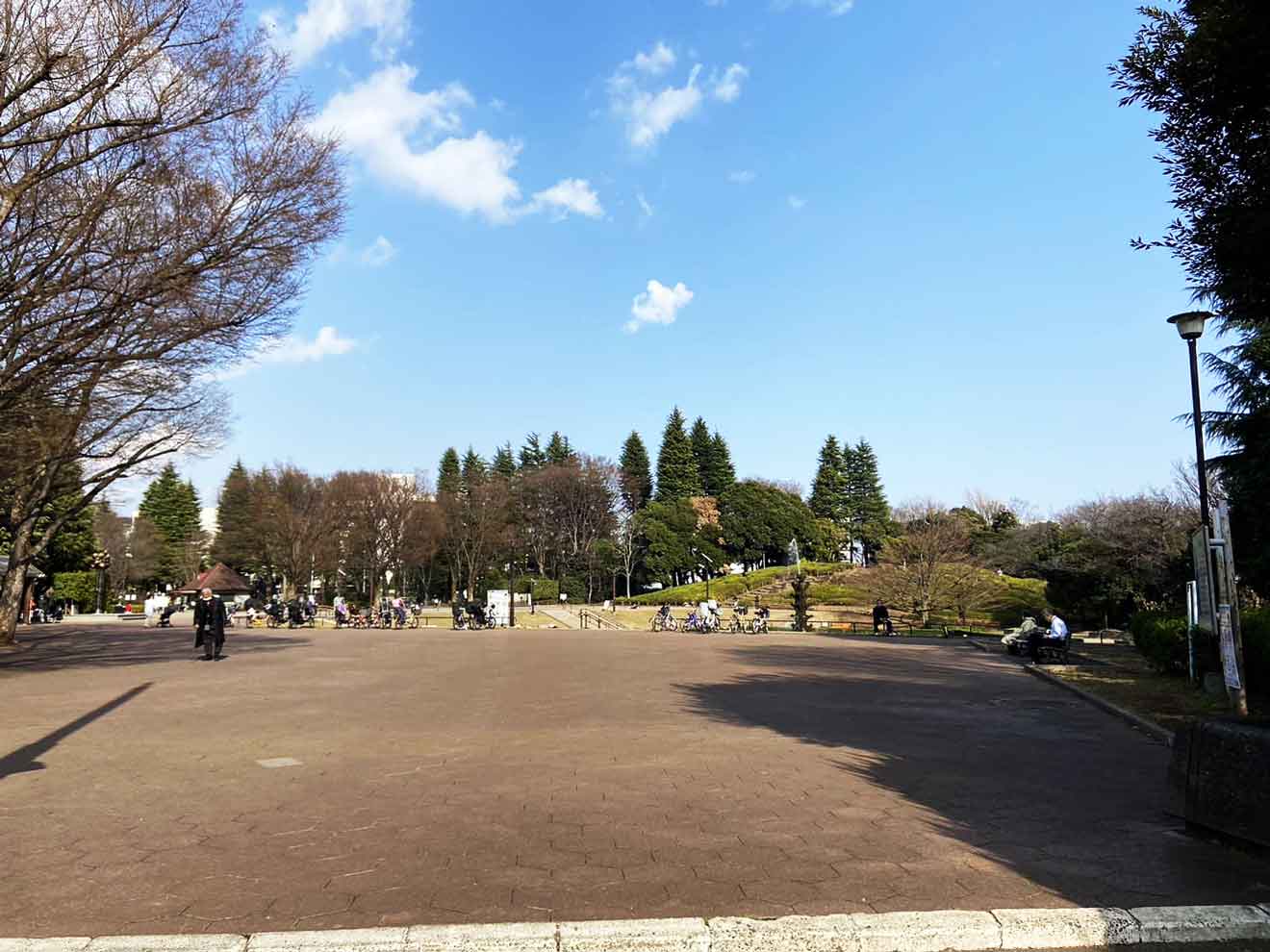 「世田谷公園」の広場