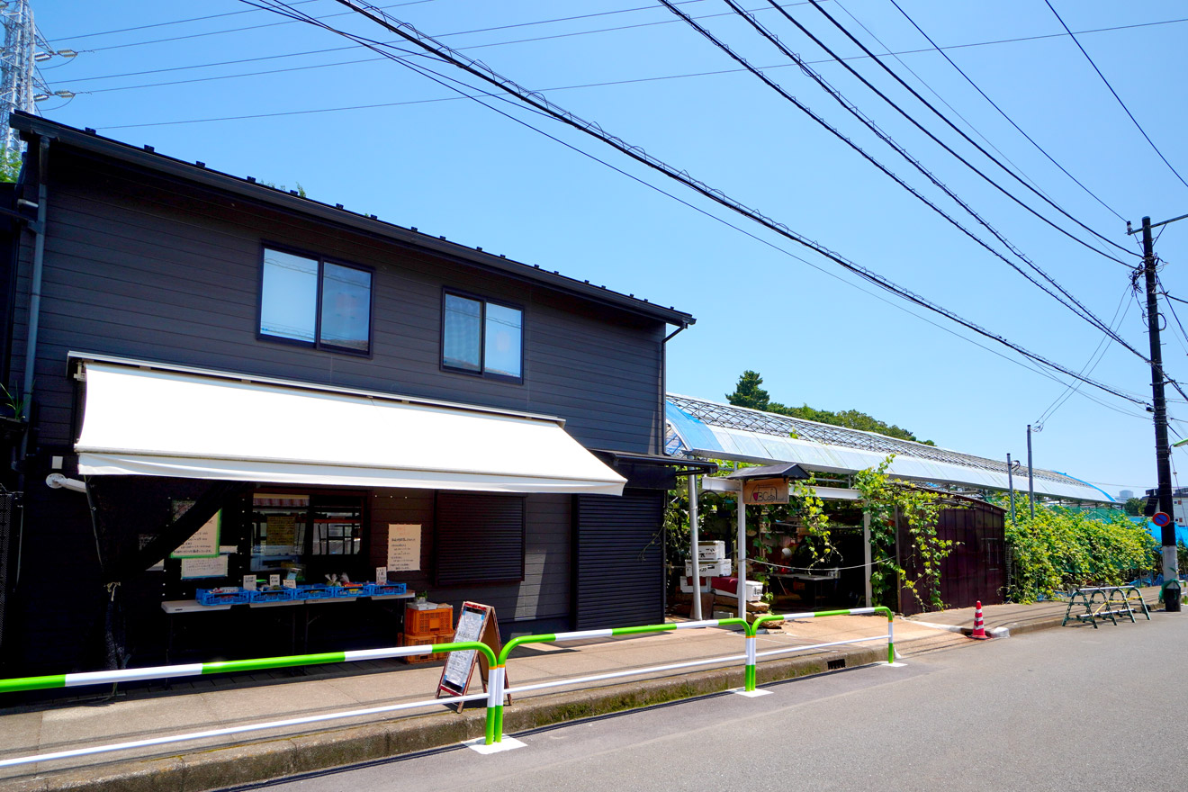 世田谷区の木村ぶどう園の外観