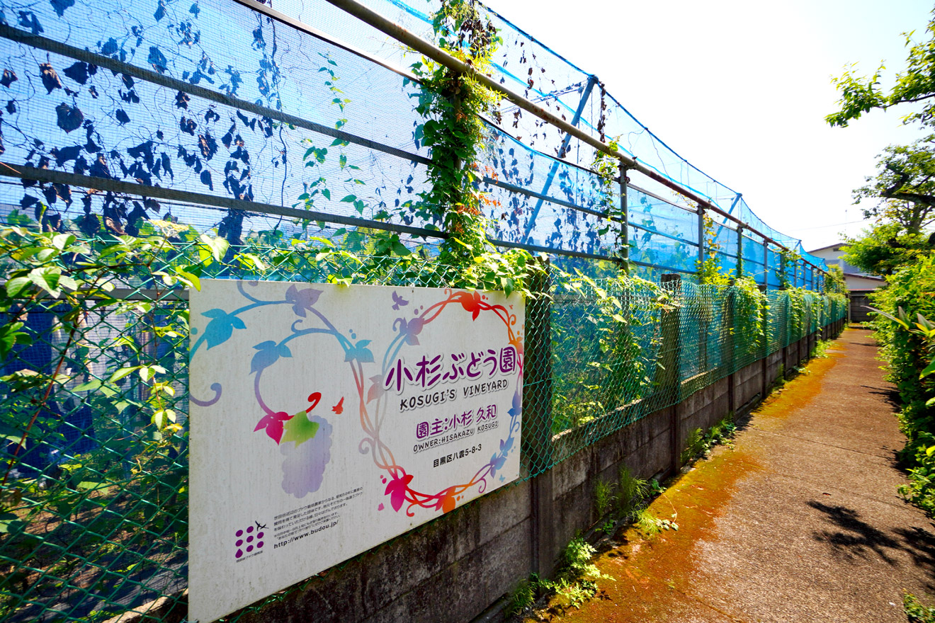 目黒区の小杉ぶどう園の外観