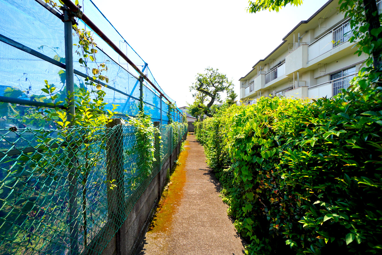 目黒区の小杉ぶどう園前の路地