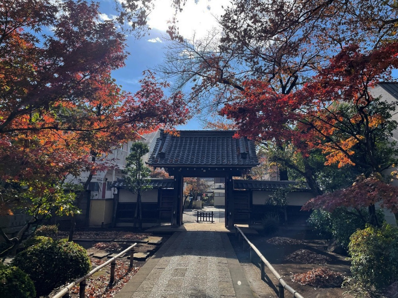 常徳院