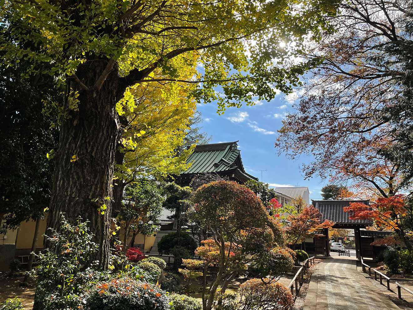 常徳院の自然豊かな風景