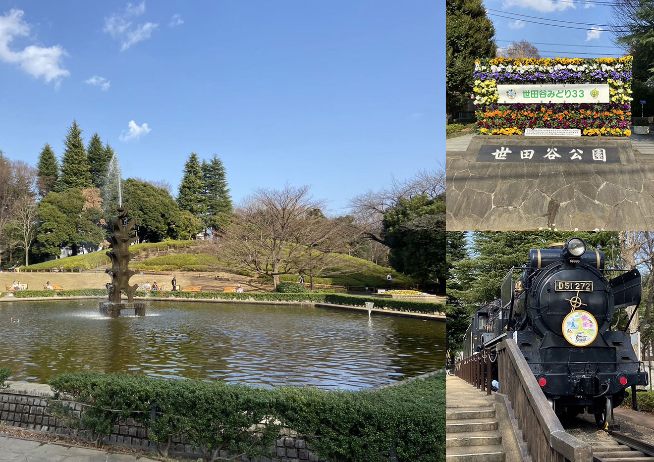 世田谷公園