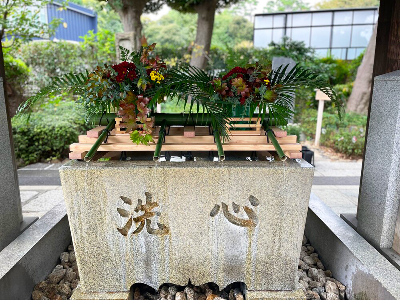 「松陰神社七五三」手水舎