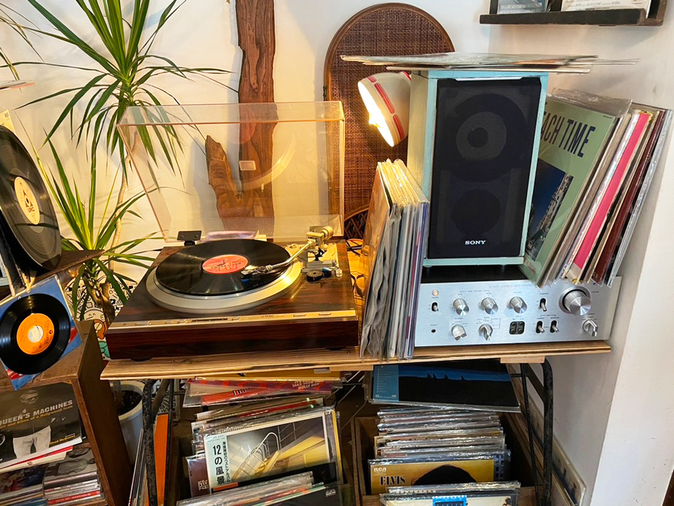 「McQUEEN COFFEE SHOP」レコード