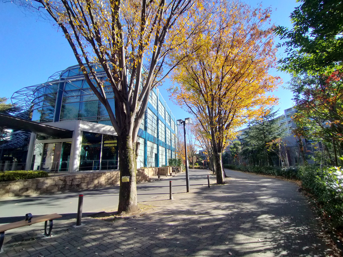 世田谷文学館周辺の緑