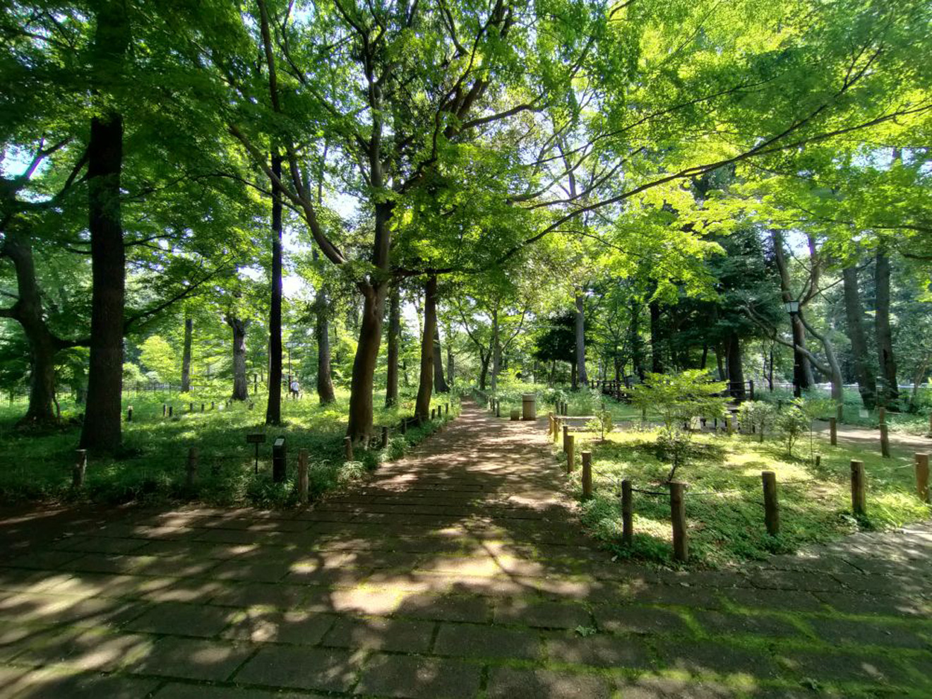 蘆花恒春園