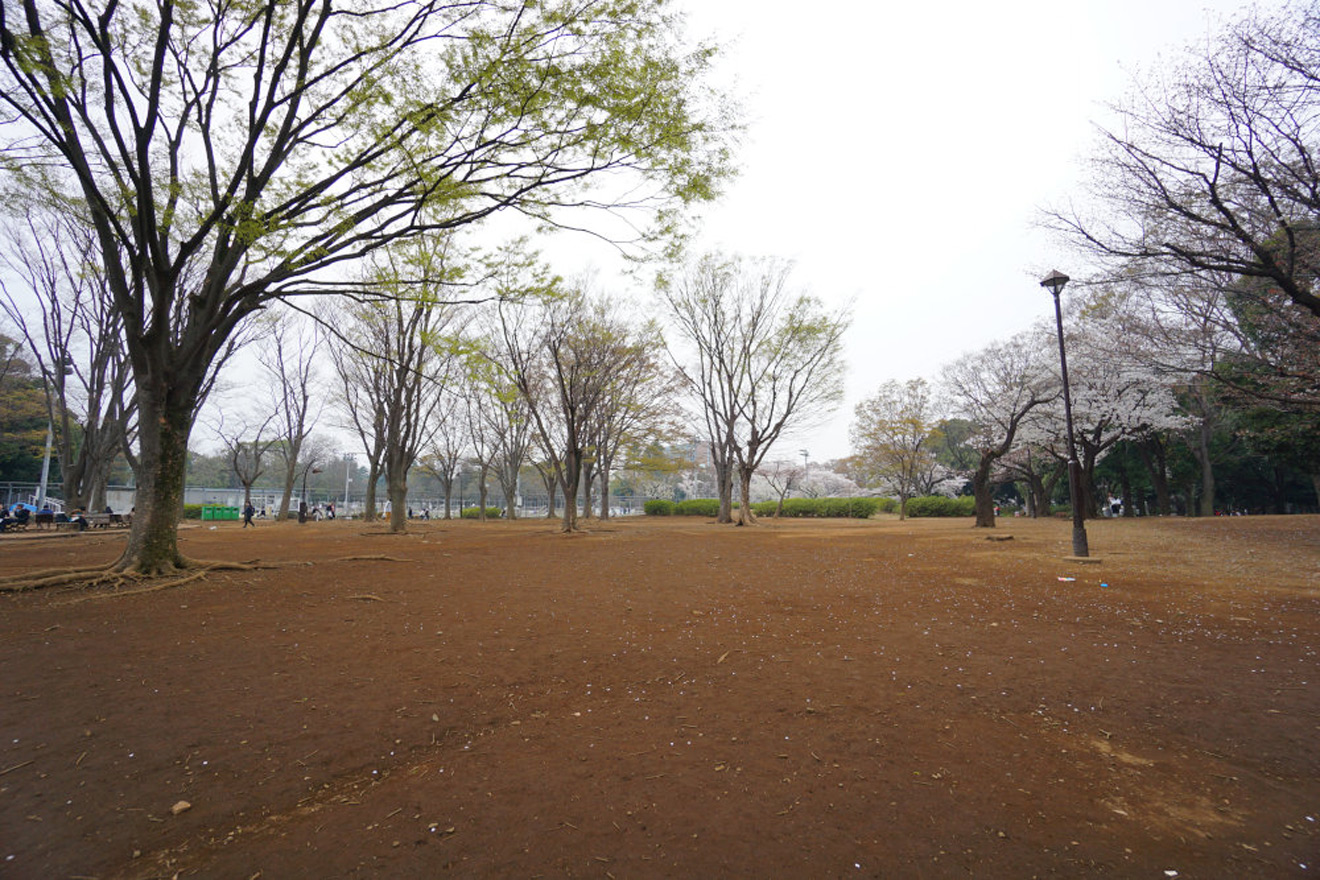 世田谷区立駒沢オリンピック公園