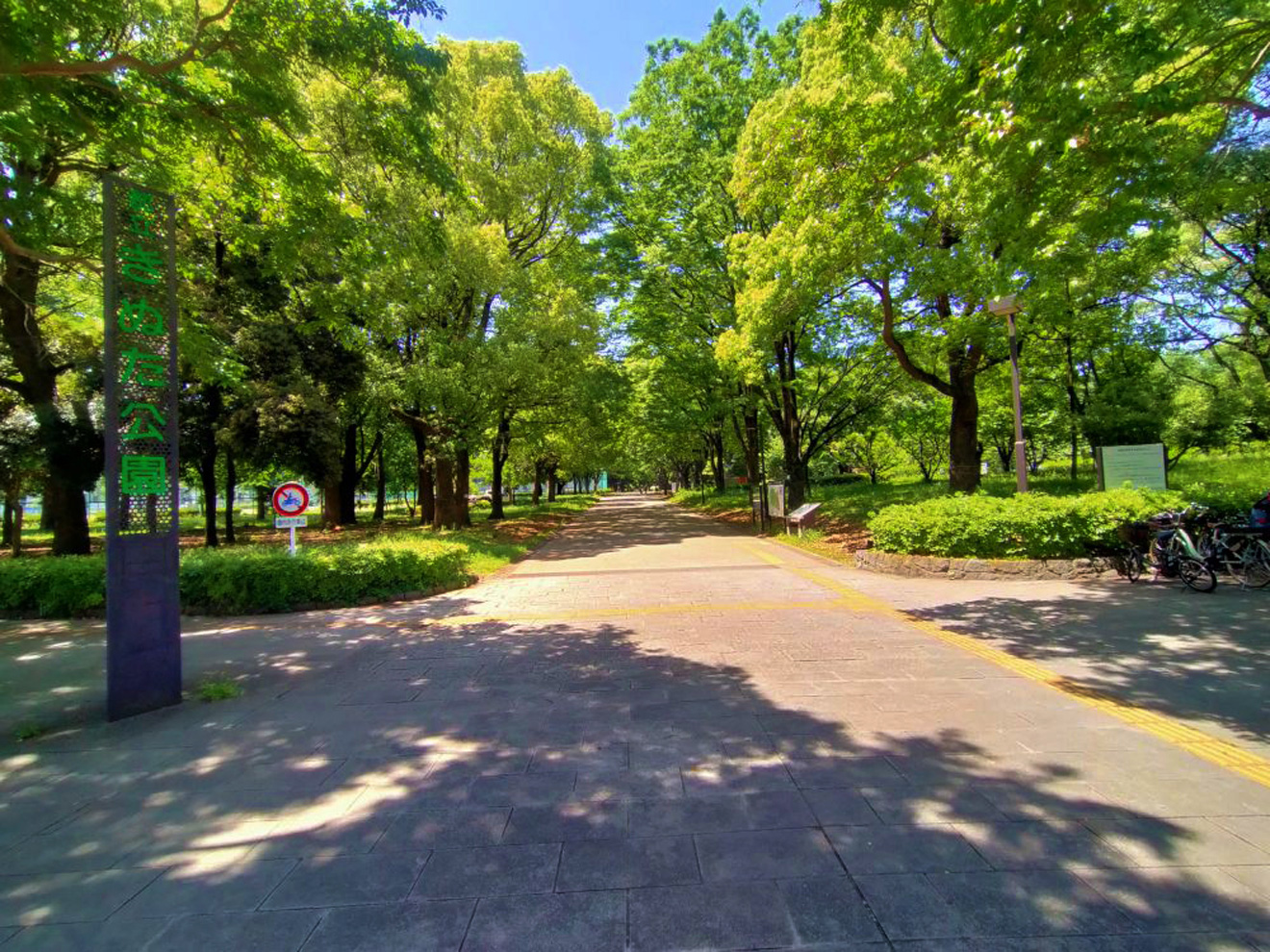 砧公園