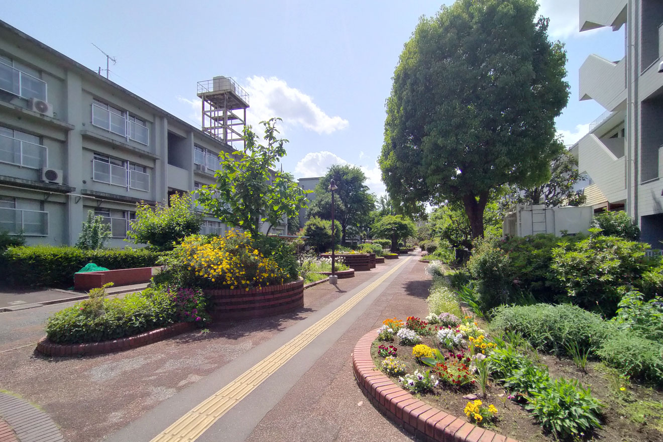 北沢川緑道