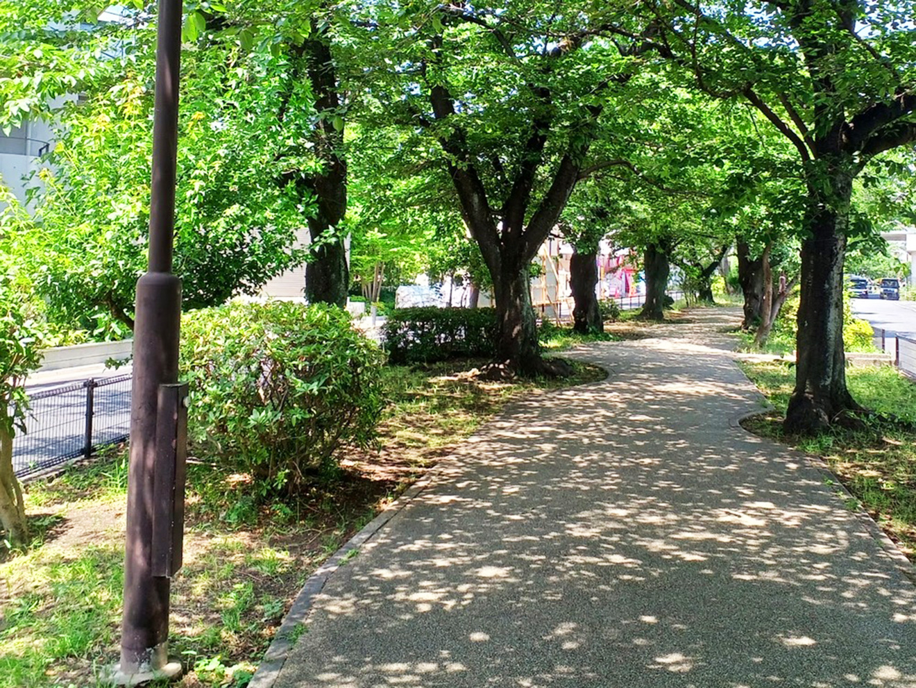 「烏山川緑道」遊歩道1