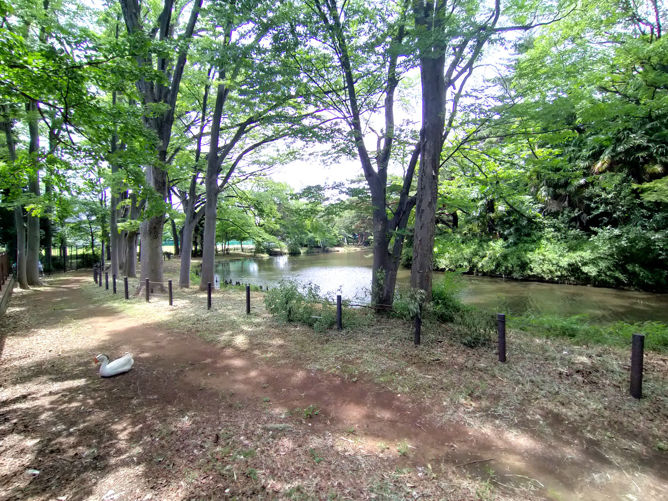 将軍池広場