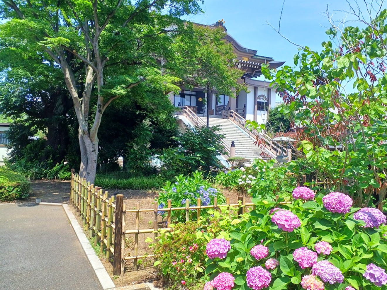 「烏山川緑道」曹洞宗 経堂山福昌寺