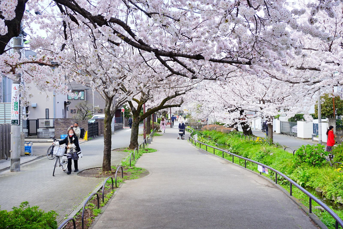 世田谷区立北沢川緑道