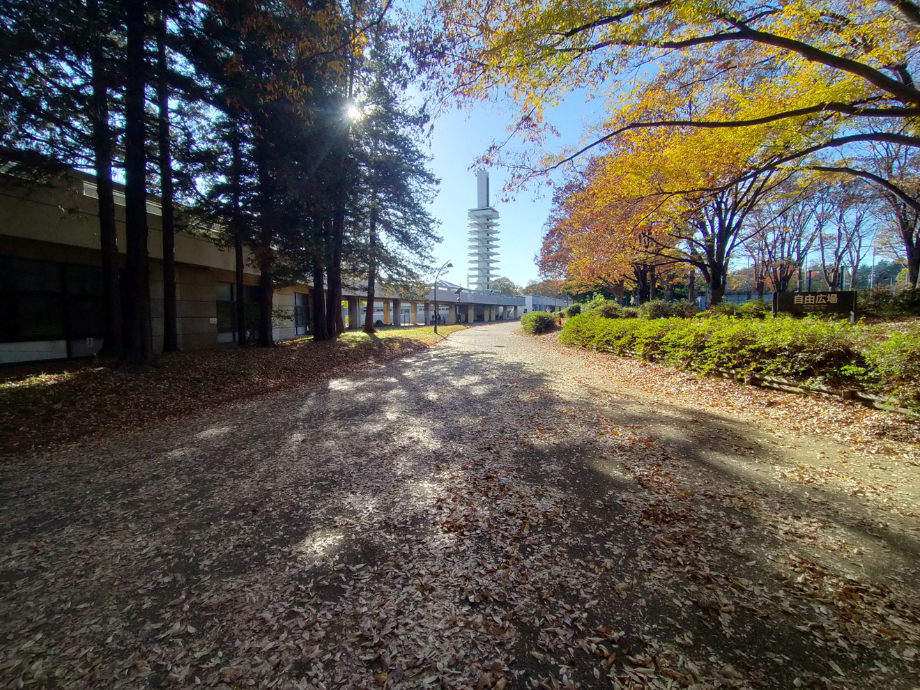 駒沢オリンピック公園の森