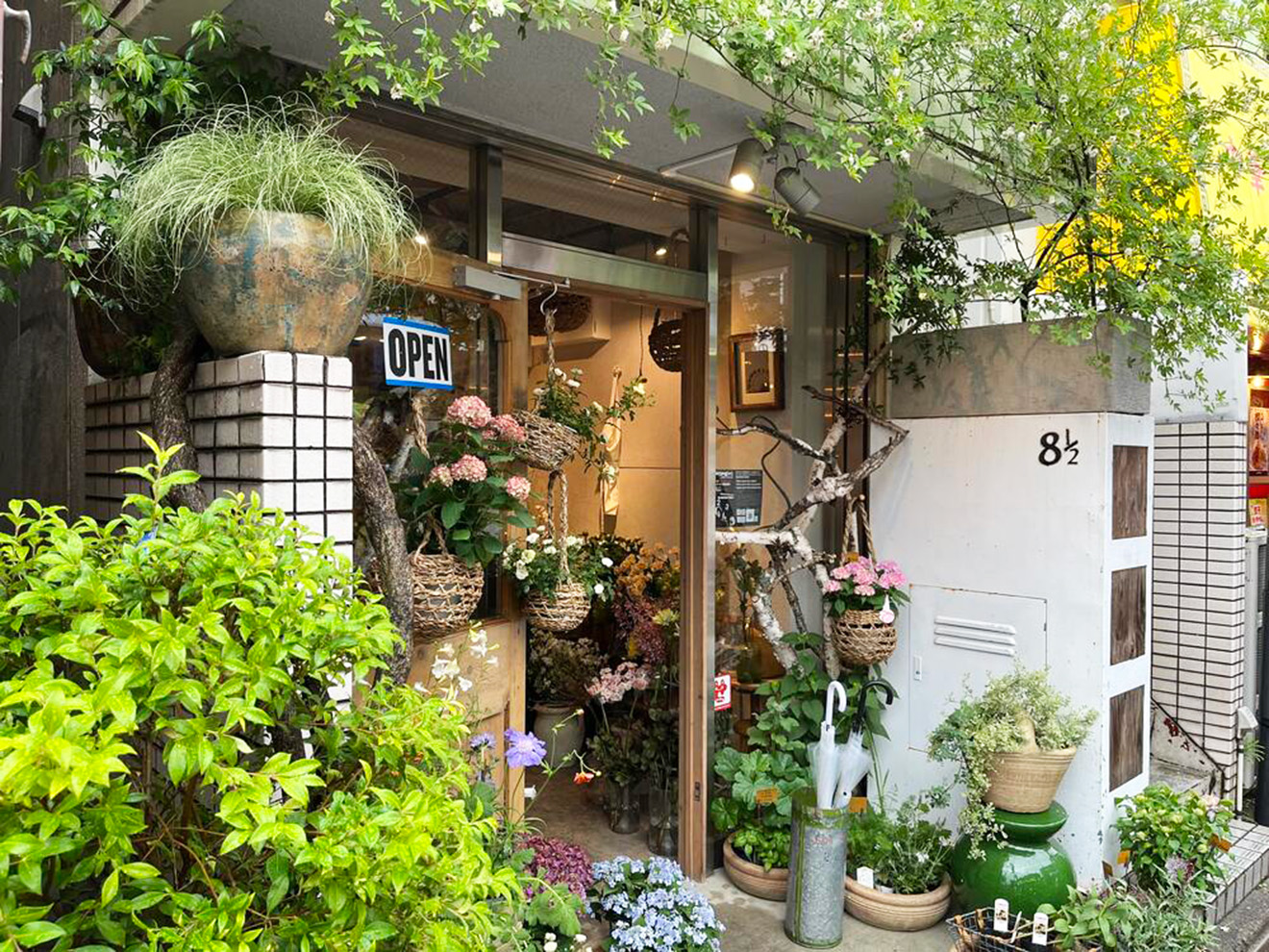 「ハッカニブンノイチ」の外観