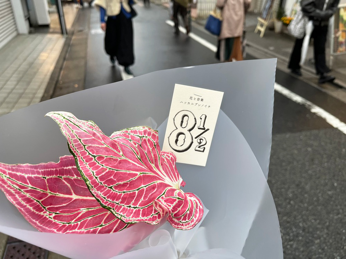 「ハッカニブンノイチ」の花