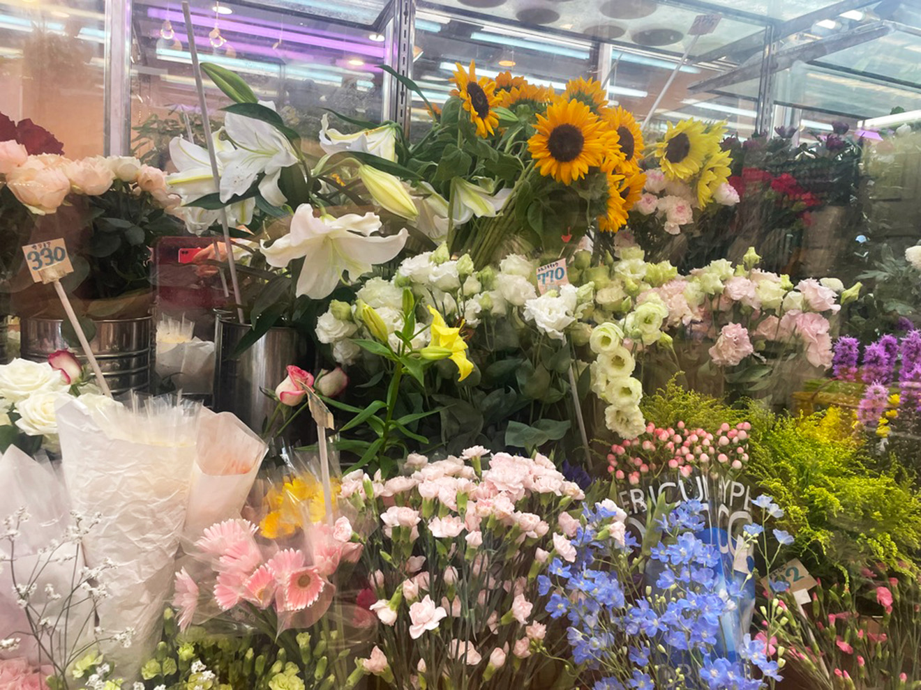 「やよい園芸」の花