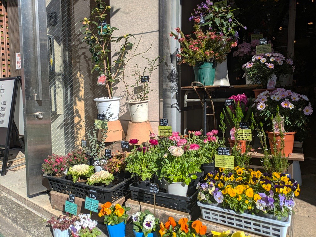 「FLORISTA COVA」の入口横