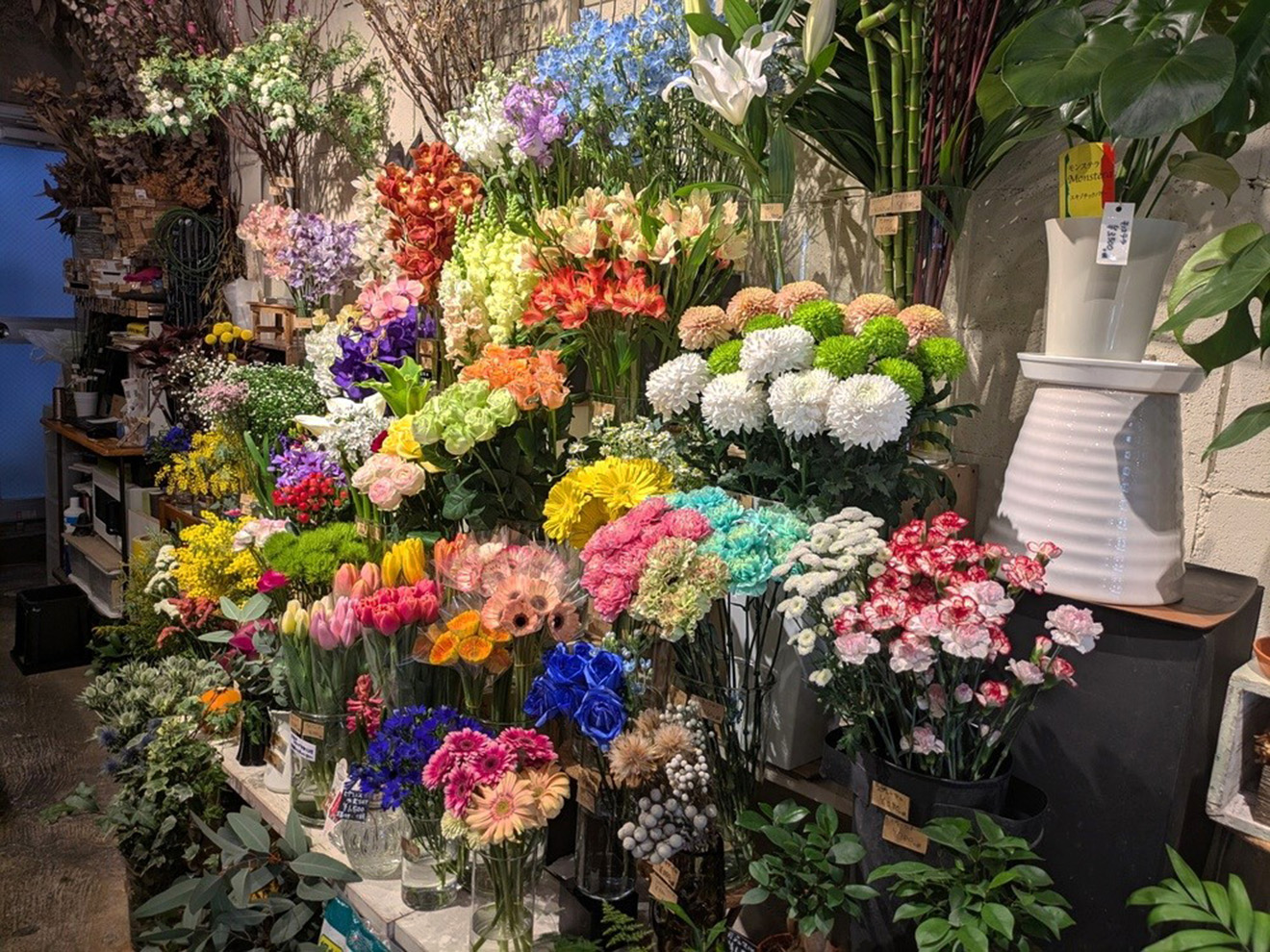 「FLORISTA COVA」の花