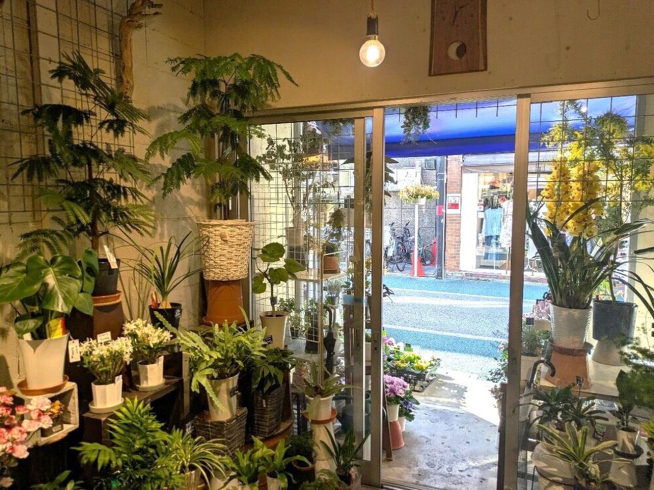 「FLORISTA COVA」の店内